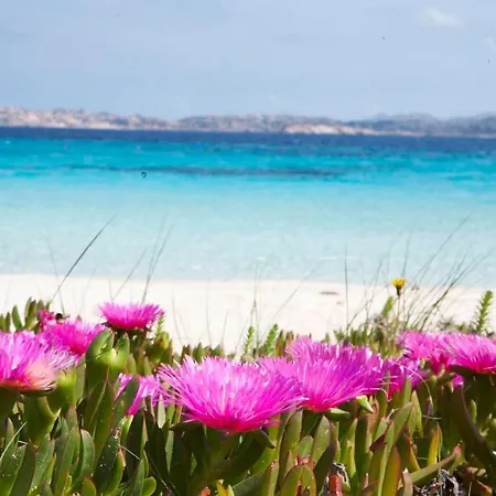 Leone Flat Viii & Private Terrace With Sea View פורטו פוצו