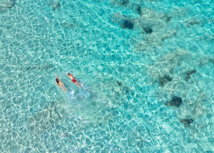 Leone Flat Viii & Private Terrace With Sea View *